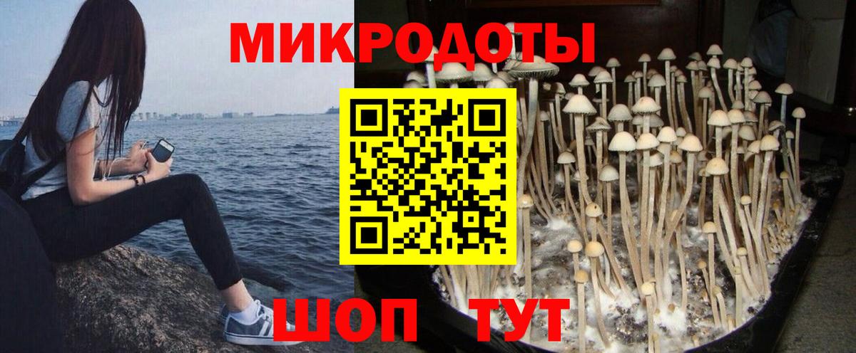 магазин    Псилоцибиновые грибы Psilocybine cubensis  Звенигород  Вход с VPN  Галлюциногенные грибы MAGIC MUSHROOMS 
